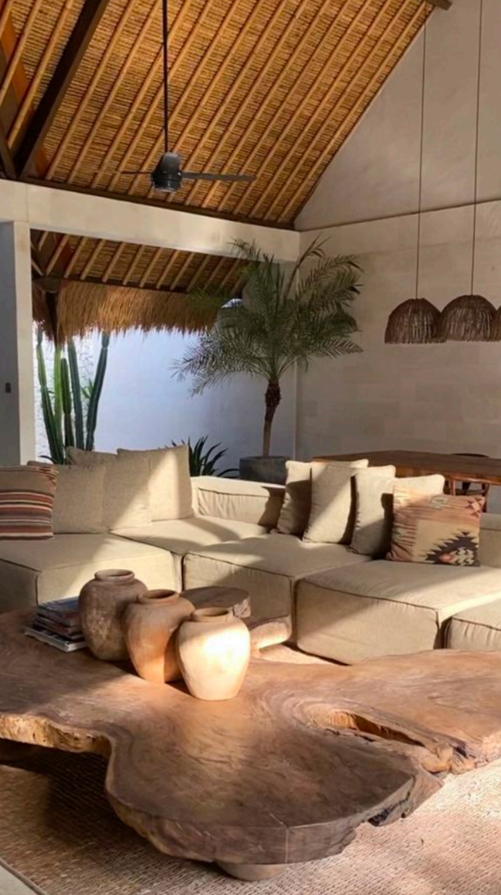Los Cabos feature